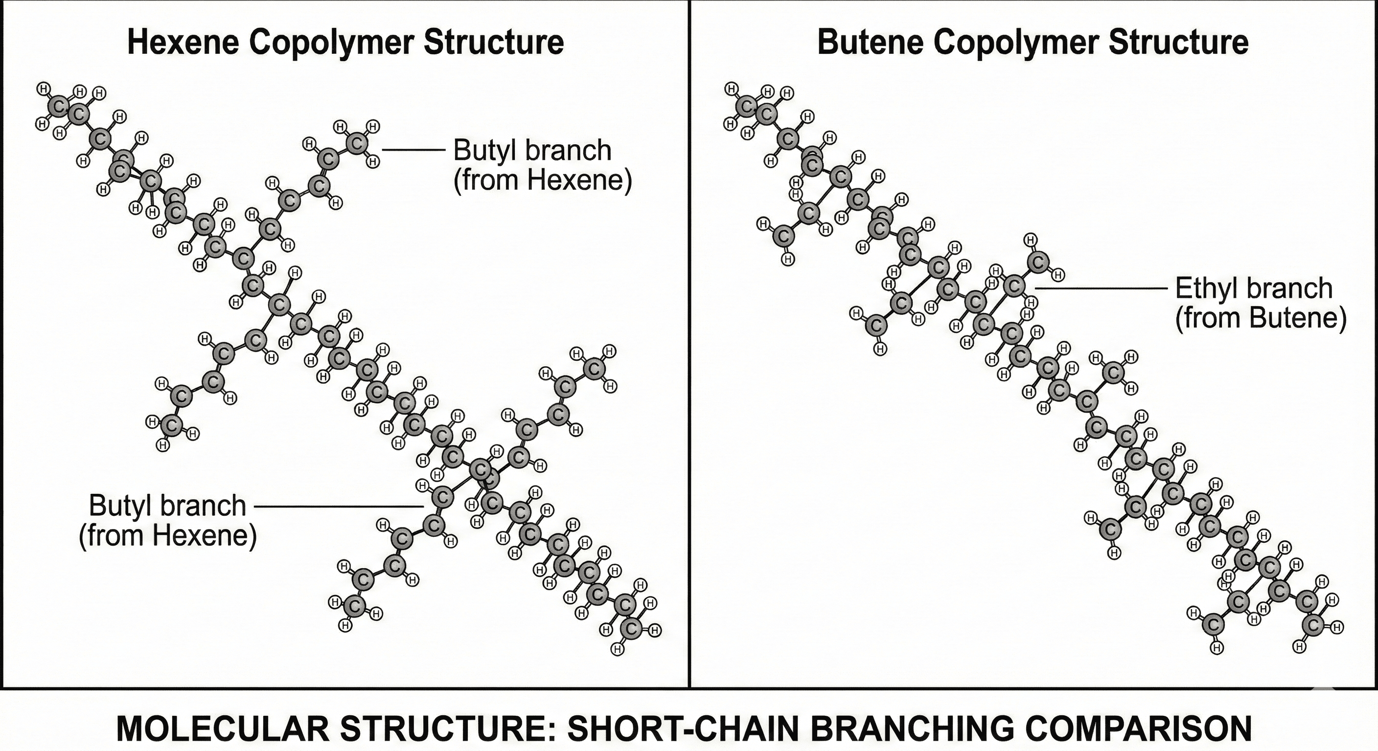 Hexene copolymer and butene copolymer molecular branching structure comparison